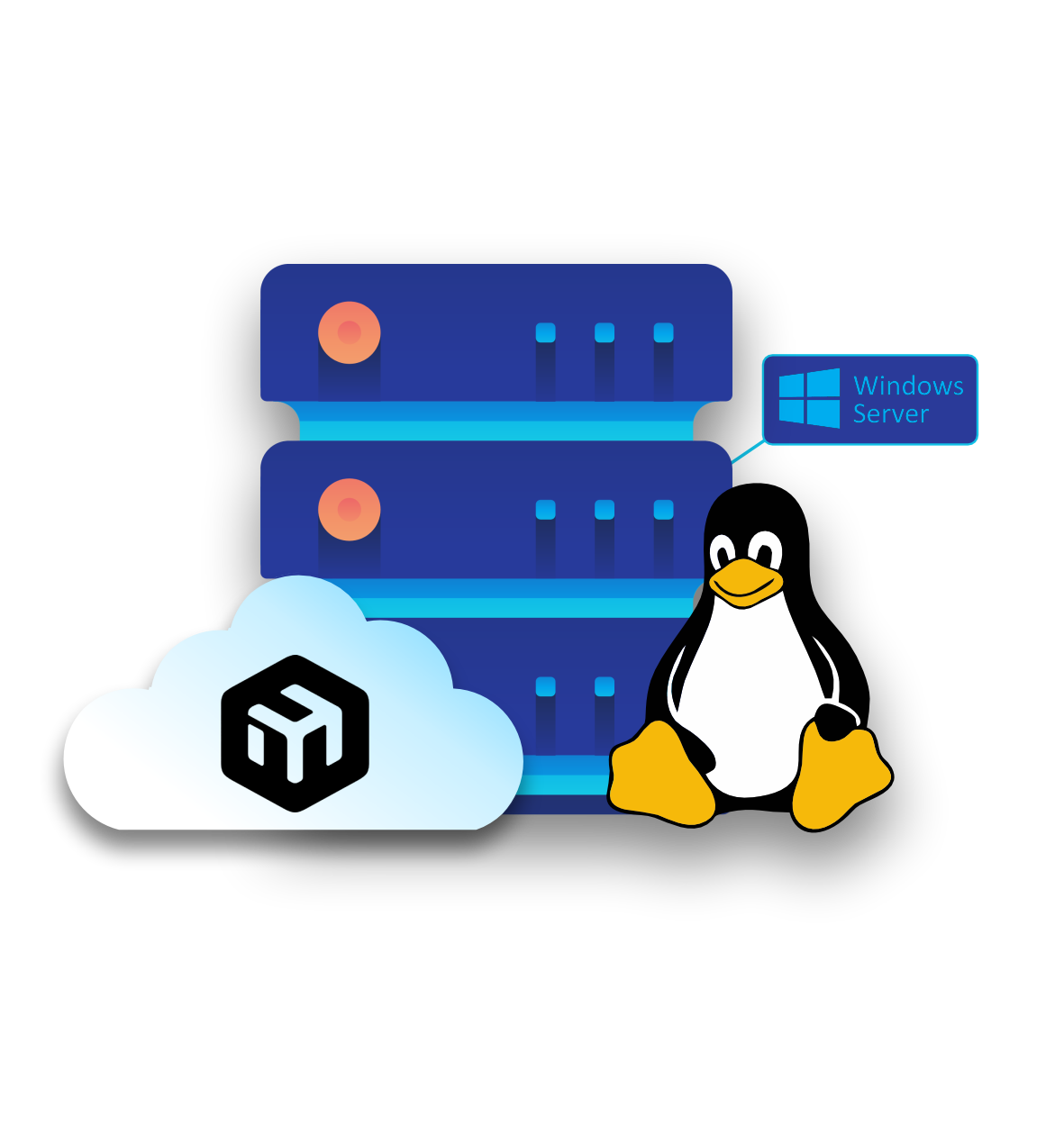 KVM VPS